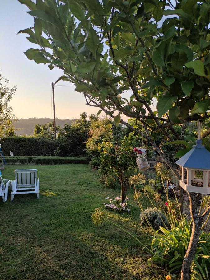 Nature Et Al House - Casa Para Uso Exclusivo E Jardim - Little Farm Batalha Zewnętrze zdjęcie